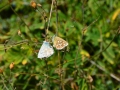 dsc_0498